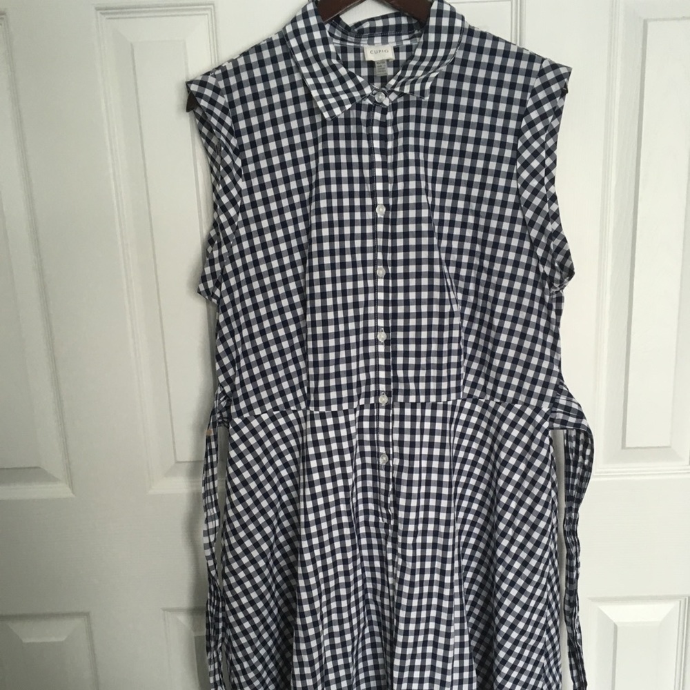 Blue and white Gingham dress
